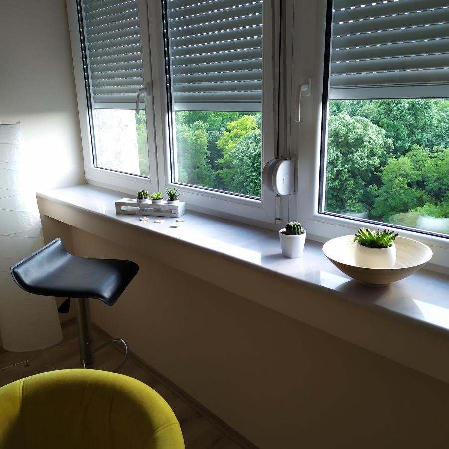 Diva Apartman アランジェロヴァツ エクステリア 写真